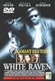 The White Raven