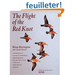 The Flight of the Red Knot: A Natural History Account of a Small Bird's Annual Migration from the Arctic Circle to the Tip of South America and Back