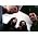 Miniaturansicht von Agoraphobic Nosebleed
