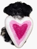 A Cheerful Pet - Nhea - Heart - Pack of 2