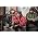 Vignette de G-Unit