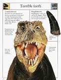 The Big Book of Dinosaurs (Big Books)