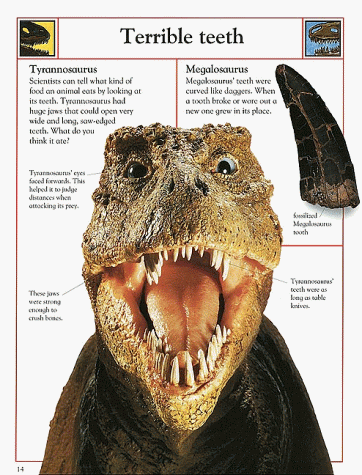 Childrens Toyshop  Books : The Big Book of Dinosaurs (Big Books)