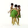 Image of Marvelettes