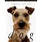Great books for dog lovers (especialy artists)