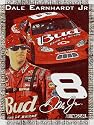 Dale Earnhardt Jr. 48x60 NASCAR Racing Throw Blanket