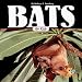 Bats for Kids (Wildlife for Kids Series)