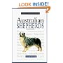 A New Owner's Guide to Australian Shepherds