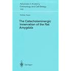 The Catecholaminergic Innervation of the Rat Amygdala (Advances in Anatomy, Embryology and... by Esther Asan
