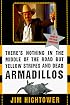 There's Nothing in the Middle of the Road but Yellow Stripes and Dead Armadillos: A Work of Political Subversion