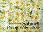 Pieces of Shadow: Selected Poems of Jaime Sabines