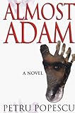 Almost Adam