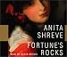 Books : Fortune's Rocks