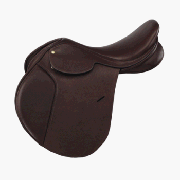 Buy Collegiate Convertible Close Contact - Regular Flap by Weatherbeeta