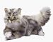 Steiff 038662 - Lizzy Maine Coone Katze