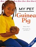 Guinea Pig (My Pet)