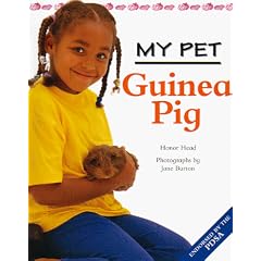 Guinea Pig (My Pet)