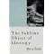 Zizek's 4 favourite books