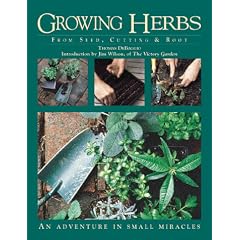 Growing Herbs from Seed, Cutting, and Root: An Adventure in Small Miracles