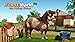 HorseWorld 3D - Premium