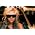 Vignette de Ke$ha