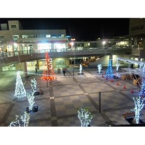 STRANGE DAWN Phase.5 [VHS]