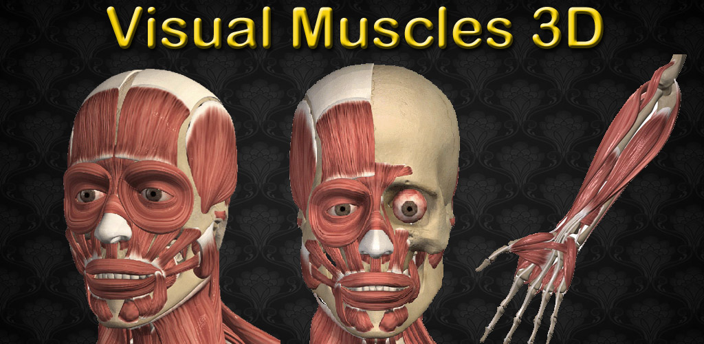 Amazon.com: Visual Muscles 3D: Appstore for Android