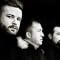 Ulver
