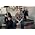Thumbnail image of The Gaslight Anthem