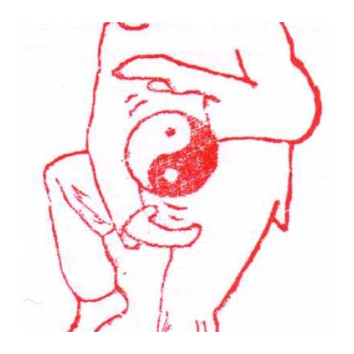 Wu Style Taijiquan Video App