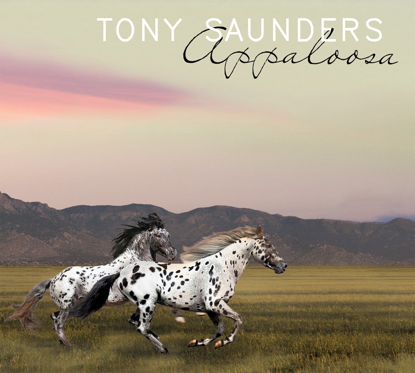 Horses On Album Covers Page 8 Steve Hoffman Music Forums