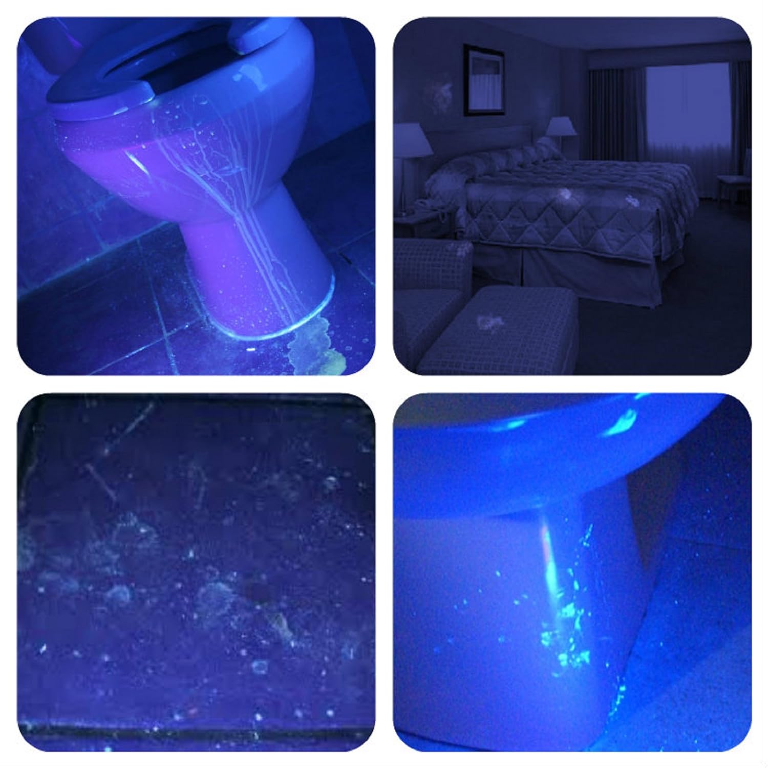 Do Black Lights Work On Cat Urine at Jill Perron blog