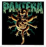 Pantera - Skull, Cowboy Hat, Snake, and Logo in Green Above - Sticker / Decal