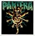 Pantera - Skull, Cowboy Hat, Snake, and Logo in Green Above - Sticker / Decal