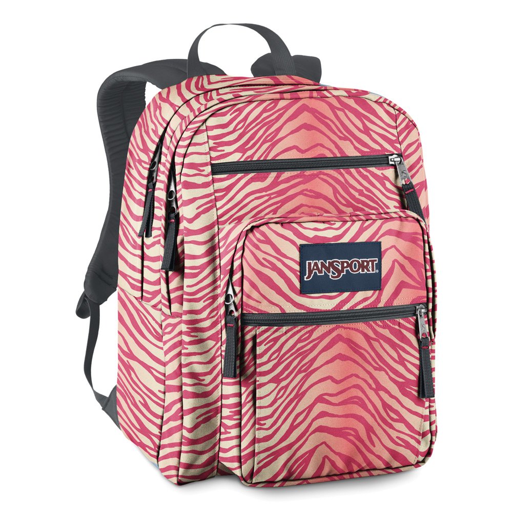 Купить JanSport Big Student Classics Series Daypack в интернетмагазине Amazon с доставкой из