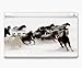 Animal Kingdom Mountain Horses Decorative Protector Skin Decal Sticker for Nintendo DS Lite