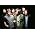 Vignette de Fleet Foxes
