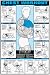 Chest Workout Fitness Chart (Co-Ed)