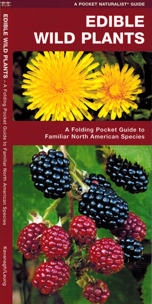 Edible Wild Plants: A Folding Pocket Guide to Familiar North ... Edible Wild Plants: A Folding Pocket Guide to Familiar North ...