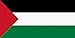 Palestine Flag Acrylic Fridge Magnet 7.5 X 5cm