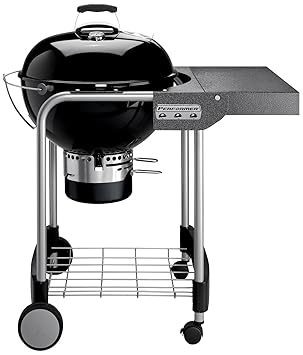 barbecue charbon weber performer original