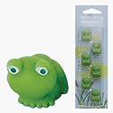 Decor Craft Mini Magnets 6-Pk Frog Prince