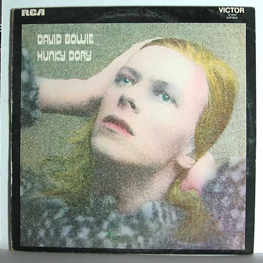 Hunky Dory [VINYL]