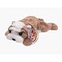 TY Beanie Baby - WRINKLES the Bull Dog