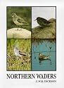 Northern Waders (Caliologists)