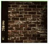 Buy Z-Brick #ZC026205 CTN 20 Beige Brick Facing by ZYGROVE CORP/Z-BRICK BRANDS