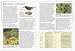 Books : The Royal Horticultural Society Pests and Diseases (RHS)