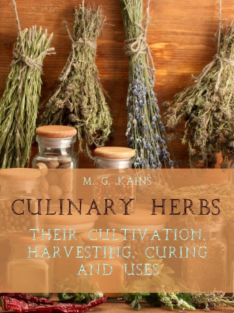 Culinary Herbs : Their Cultivation, Harvesting, Curing and Uses ... Culinary Herbs : Their Cultivation, Harvesting, Curing and Uses ...