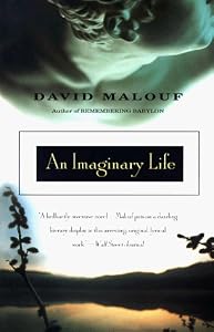 Image of An Imaginary Life