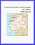 Executive Report on Strategies in Gabon,1999 edition (Strategic Planning Series)
